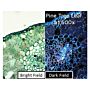 Dino-Lite Darkfield/Brightfield backlightmodule BL-CDW