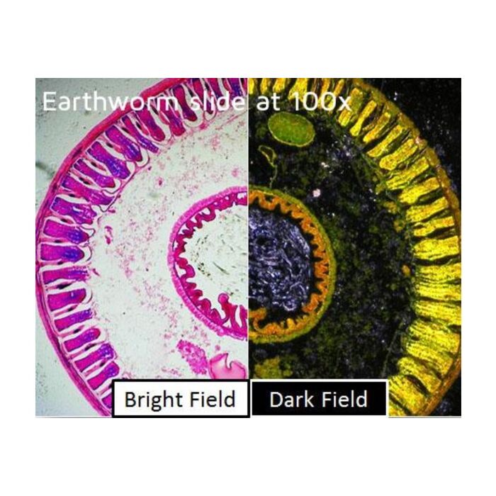 Dino-Lite Darkfield/Brightfield backlightmodule BL-CDW