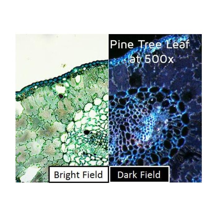 Dino-Lite Darkfield/Brightfield backlightmodule BL-CDW